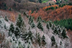 L'arrivée de l'hiver 2021